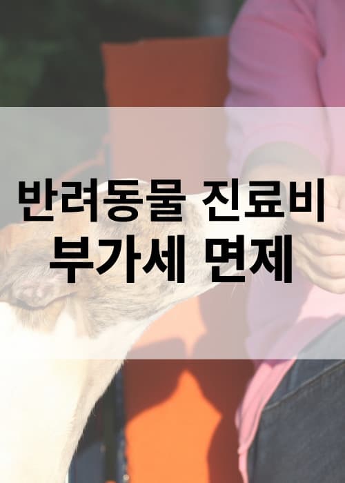 반려동물 진료비 부가세 면제