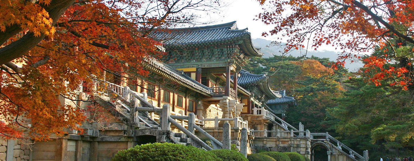 경주 가을 여행 단풍 나들이 가볼만한곳 BEST 05 도리마을 은행나무, 첨성대 핑크뮬리 군락지