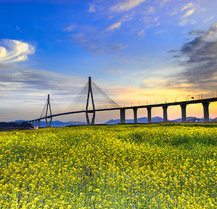 목포 유달산 개나리 축제 주차 맛집 꿀팁정리