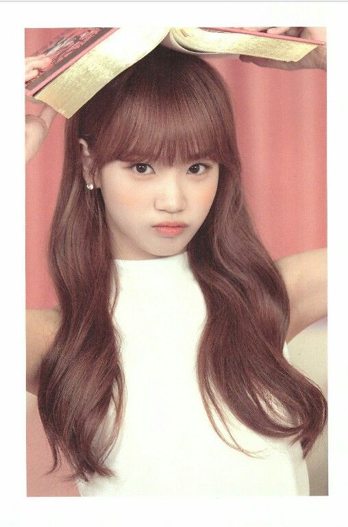 김채원 사진 모음