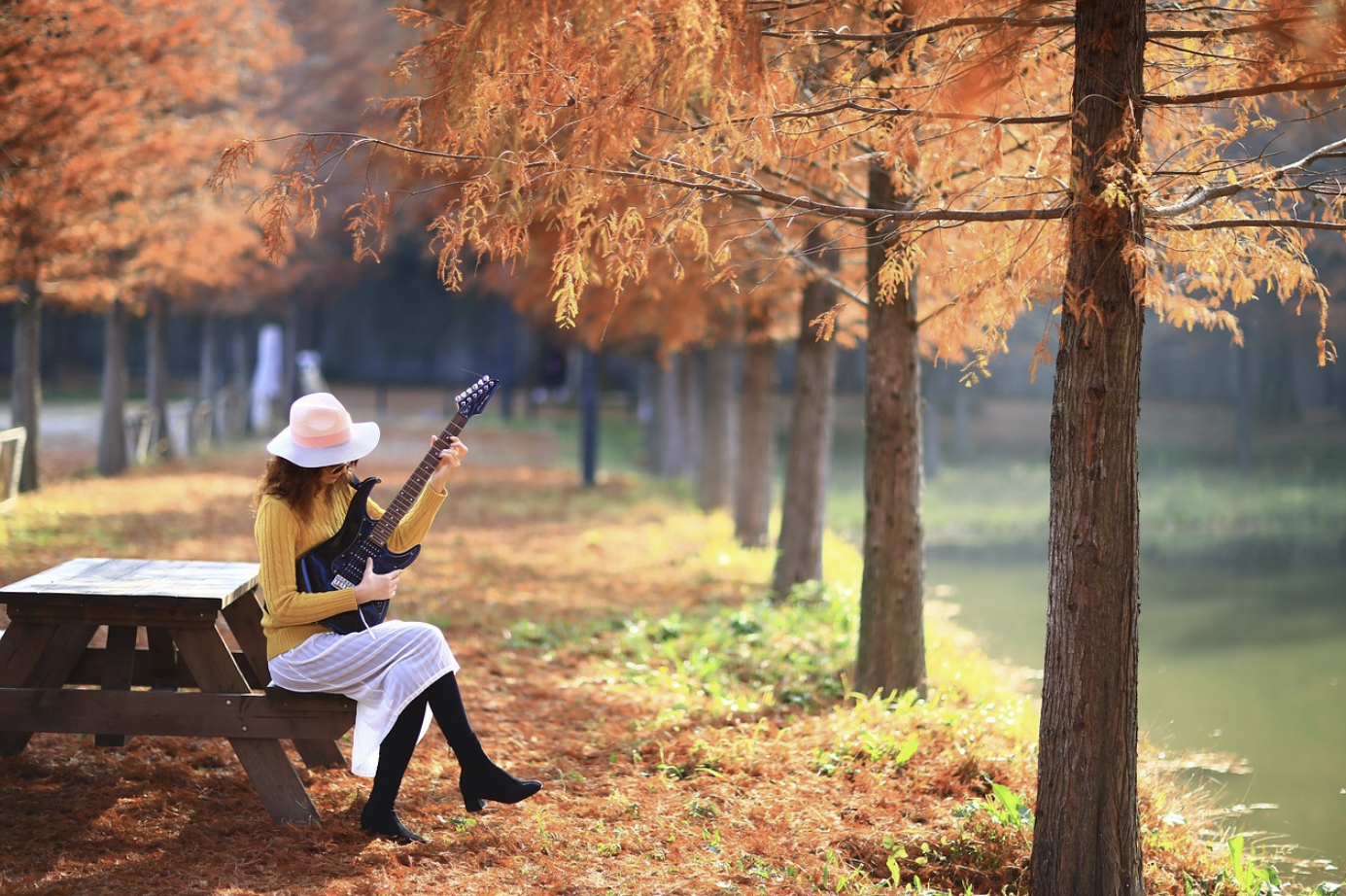 장태산 자연휴양림 단풍시기
