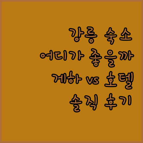 강릉 게스트하우스 vs 호텔 어디가 