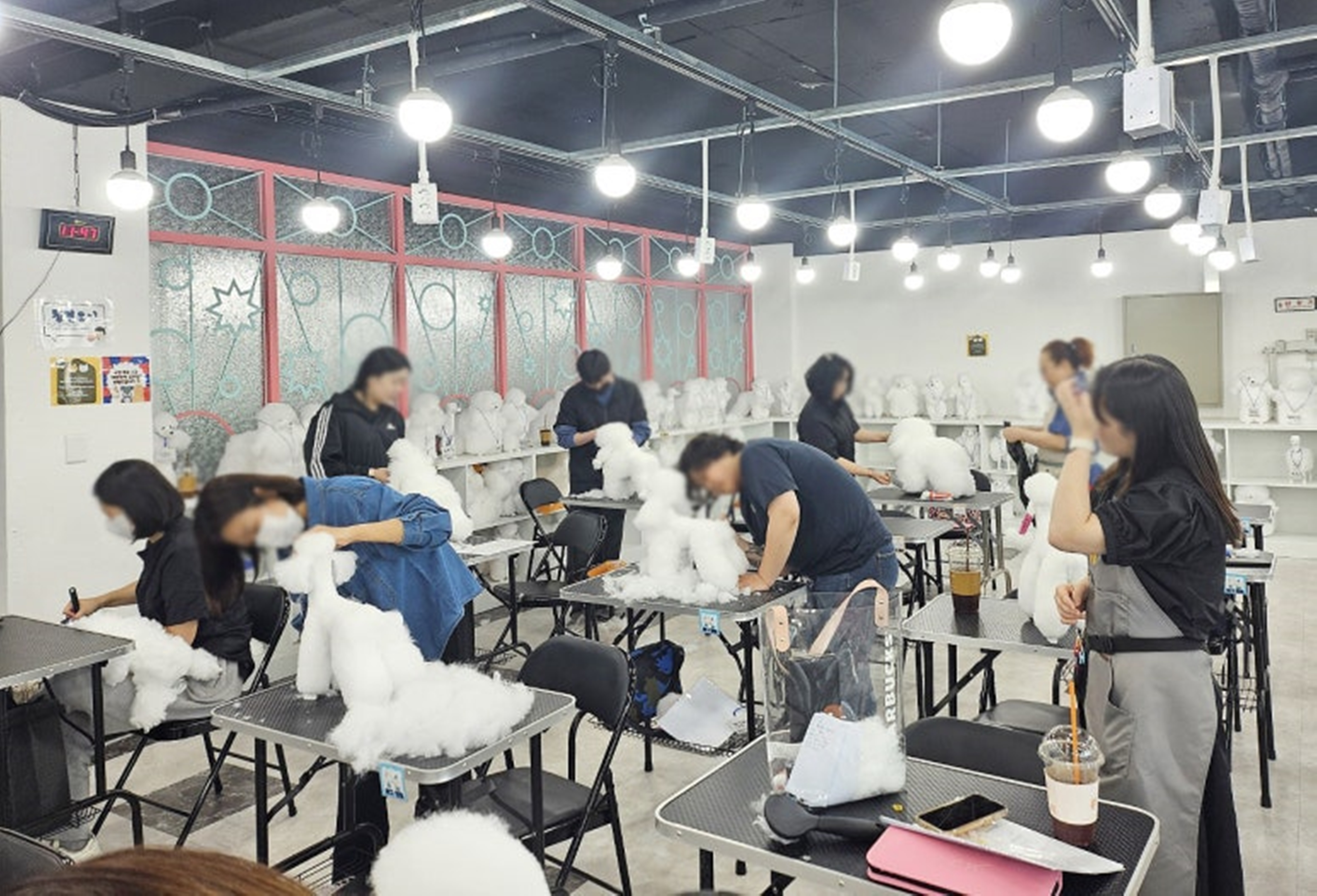 여수강아지미용배우기