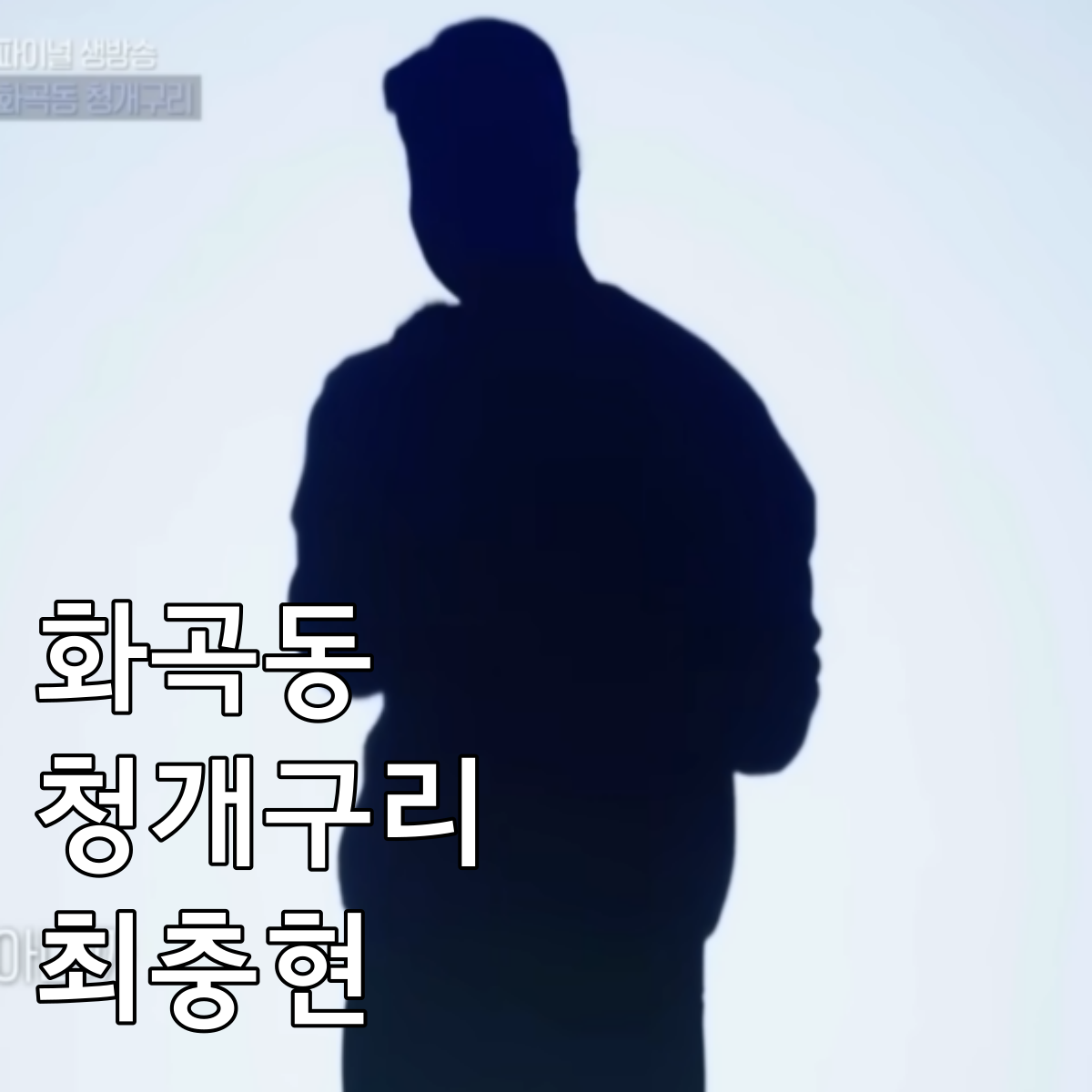 화곡동청개구리최충현