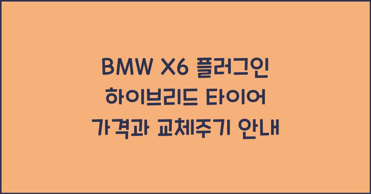 BMW X6 플러그인 하이브리드 타이어 가격, 교체주기