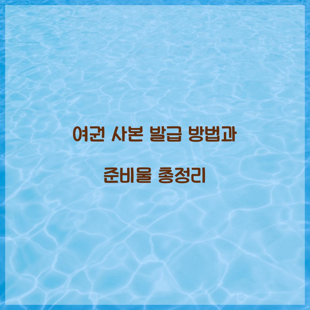 여권 사본 발급