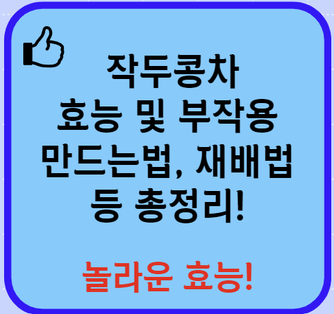 작두콩차 효능 부작용 끓이는 방법 먹는방법 등 총정리(최신 Ver)