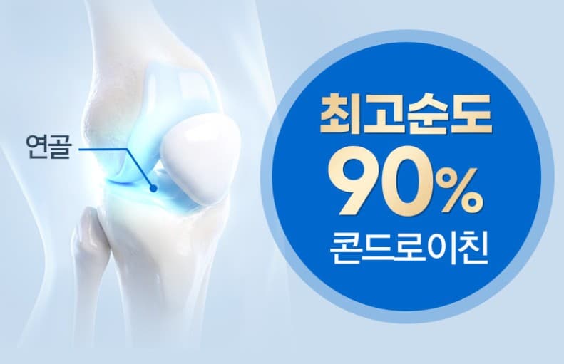 콘드로이친 효능