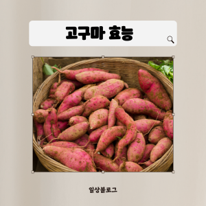 고구마 효능