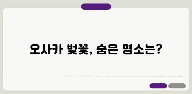 2025년 오사카의 벚꽃 명소, 반드시 방문해야 할 장소들
