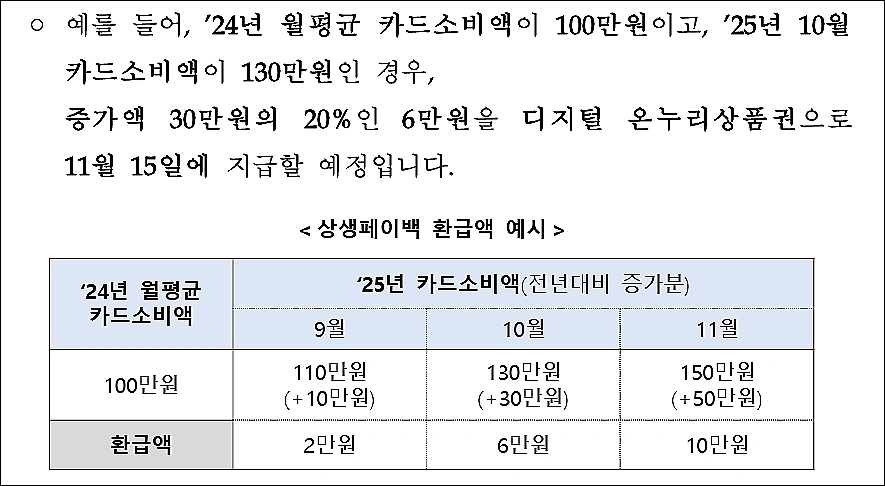 소비쿠폰-환급방법