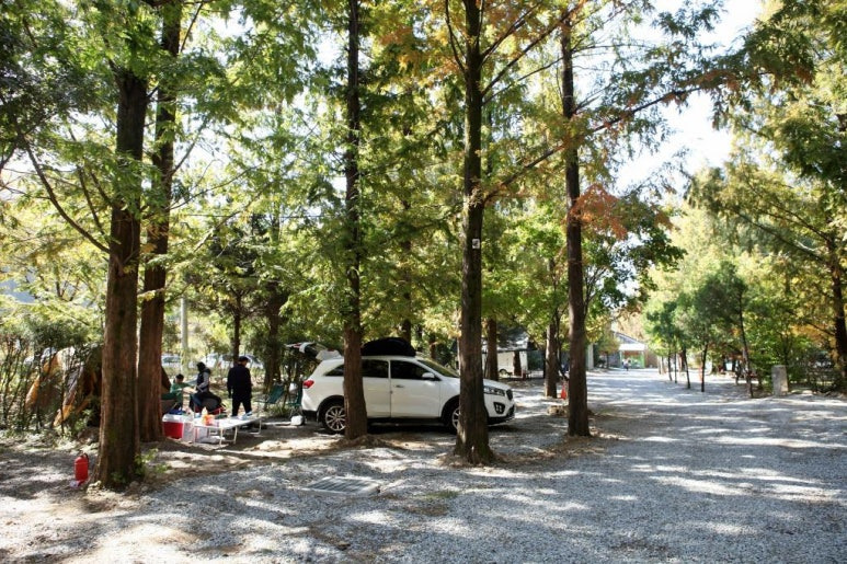 파주 인생캠핑장, 추천캠핑장