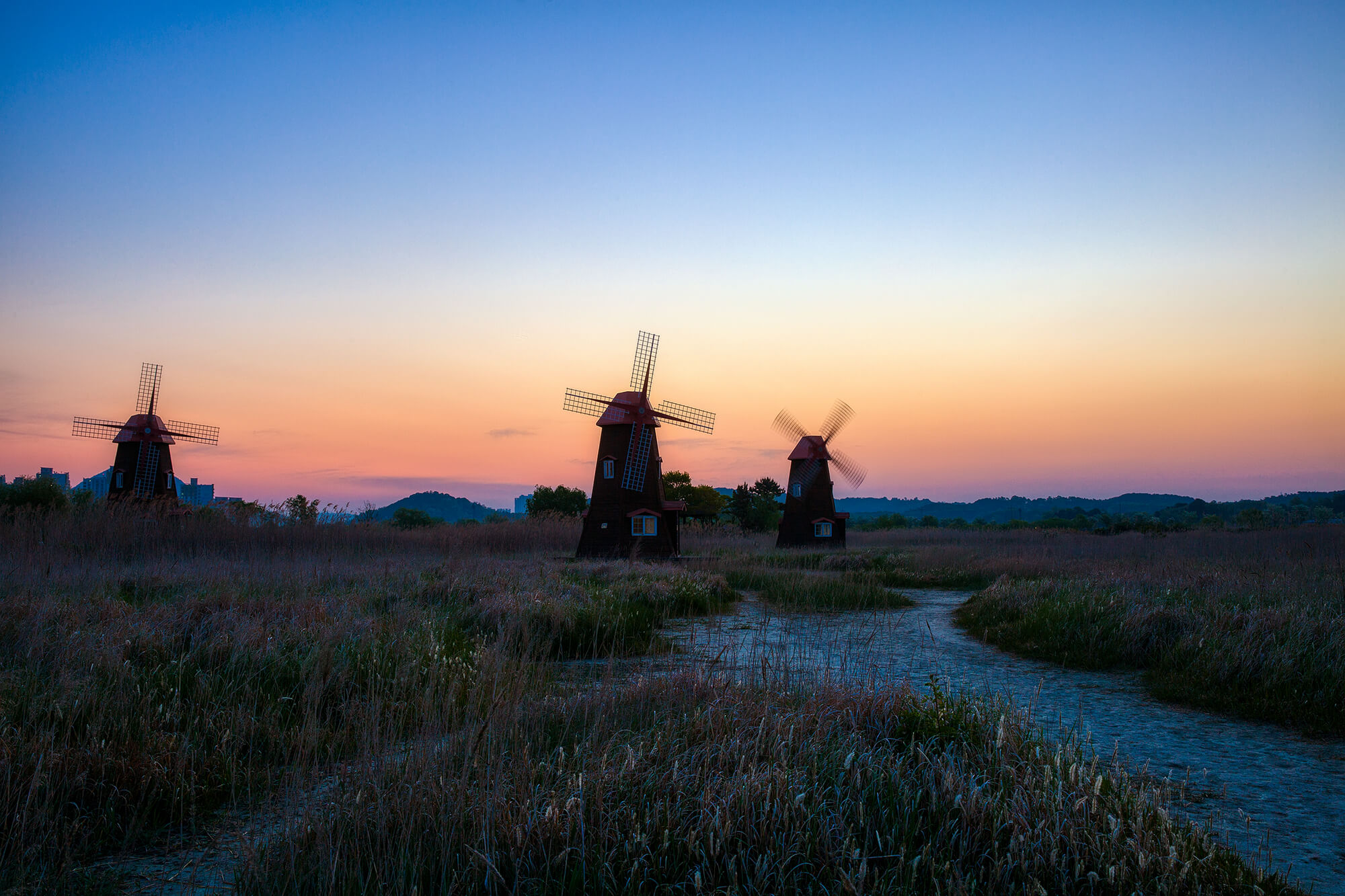 소래습지생태공원 여명1