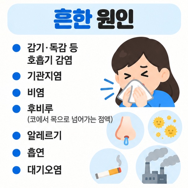감기 기관지염 후비루 알레르기 흡연이 가래를 늘리는 원인이 될 수 있음을 보여주는 카드뉴스