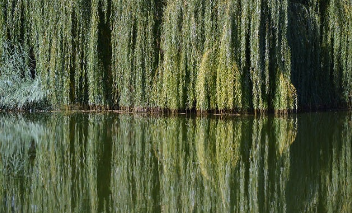 경기도 청년기본소득 2025년 신청부터 지급까지 26