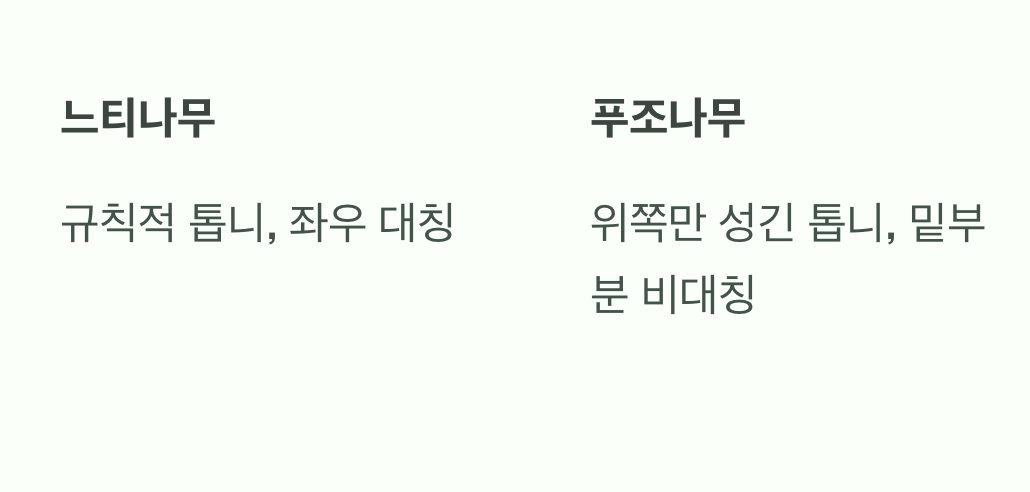 첫 번째 단서, 잎사귀를 만져보세요
