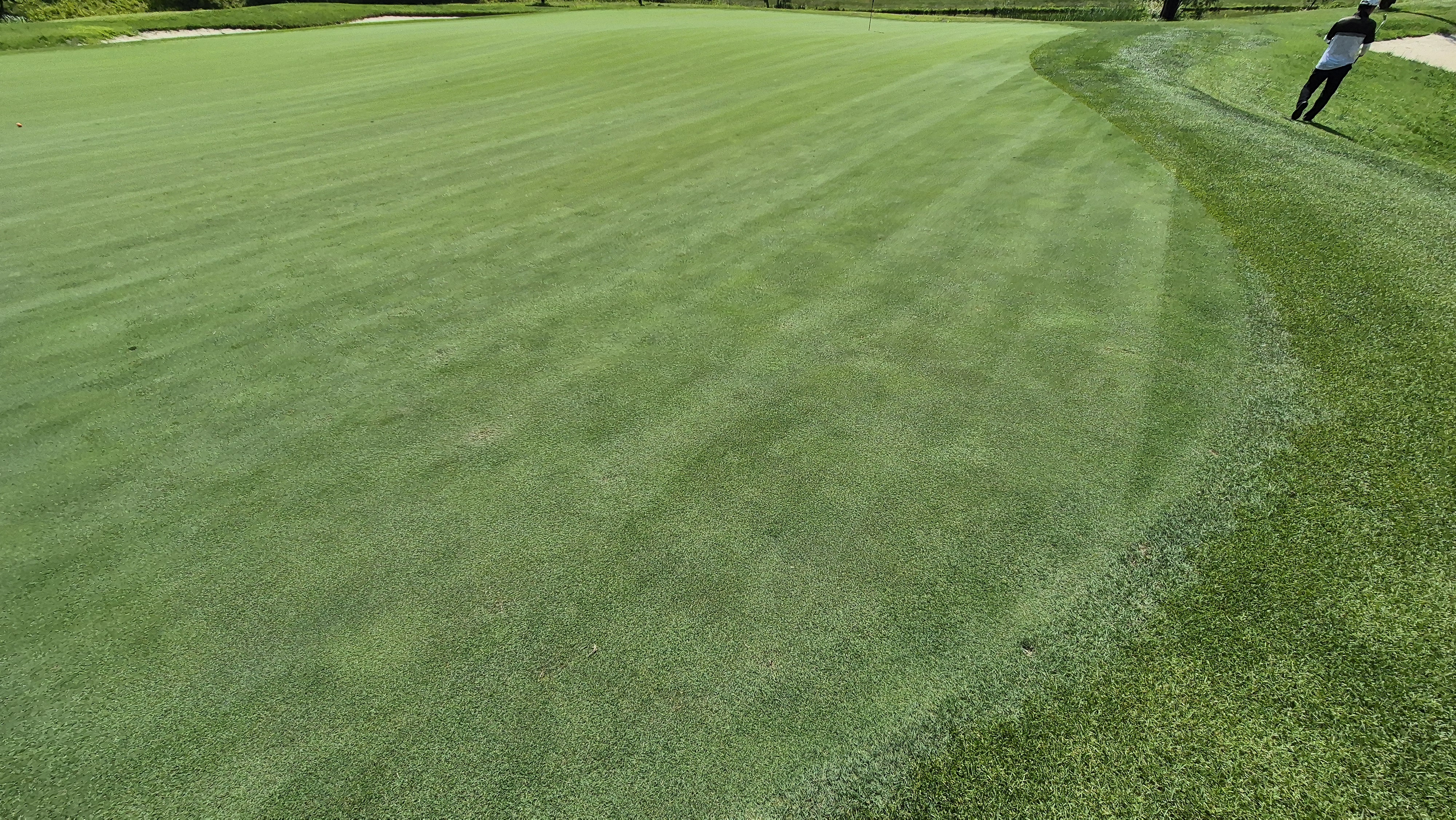 샤인데일cc 라운드 후기