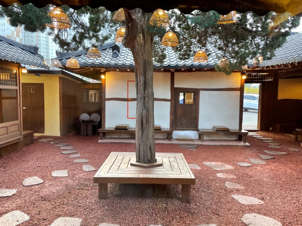 용인 기흥 핫플 한옥 카페 고매 커피 - 시그니처 마당