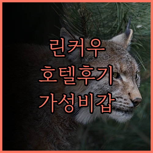 포 포인츠 바이 쉐라톤 린커우.. 깔