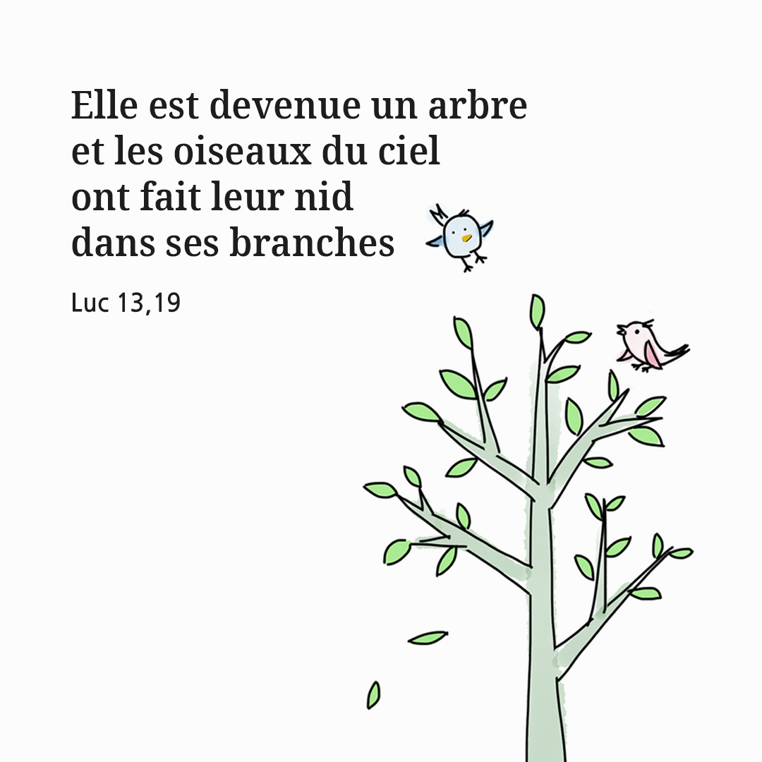 Elle est devenue un arbre et les oiseaux du ciel ont fait leur nid dans ses branches. (Luc 13&#44;19)