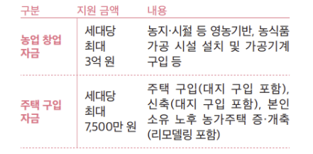 Alt 속성 문제 해결 설명 이미지