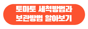 토마토