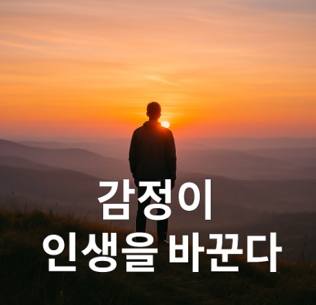 감정관리의 힘(자존감 회복, 분노조절, 인생역전)