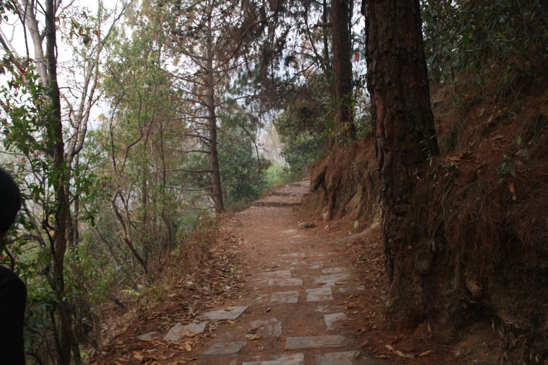 Trail