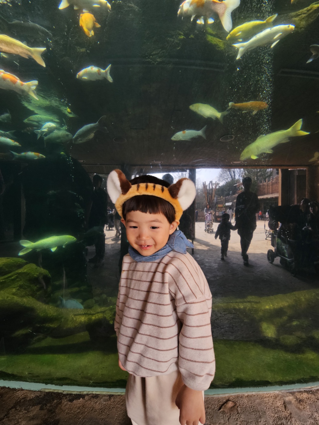 ※ 동물원