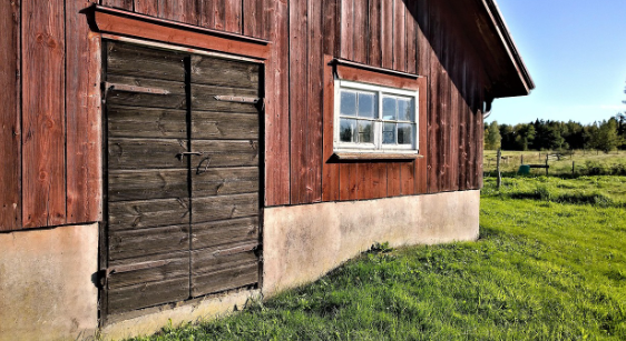 창작자 경제 시대, 플랫폼이 만든 새로운 문화 직업의 탄생