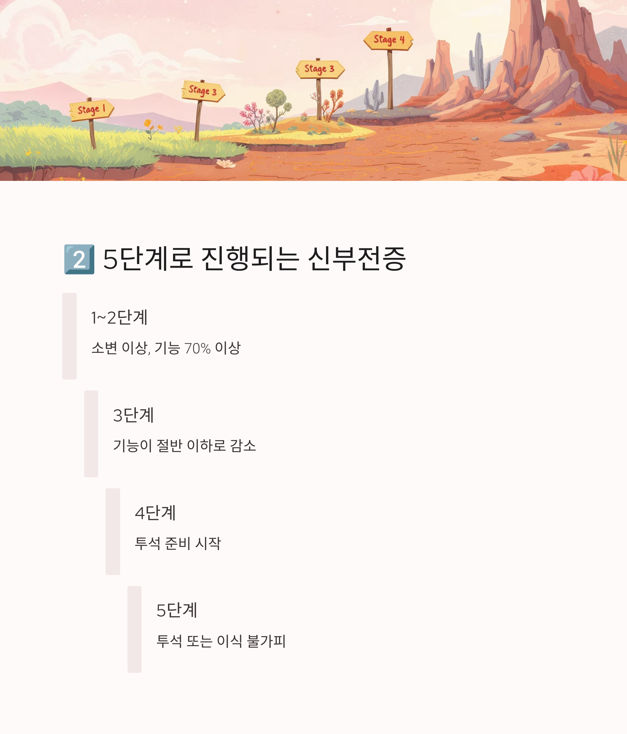 1~5단계로 진행되는 만성 신부전증을 설명한 일러스트 배경과 함께 각 단계별 신장 기능 변화가 표시된 도식 이미지