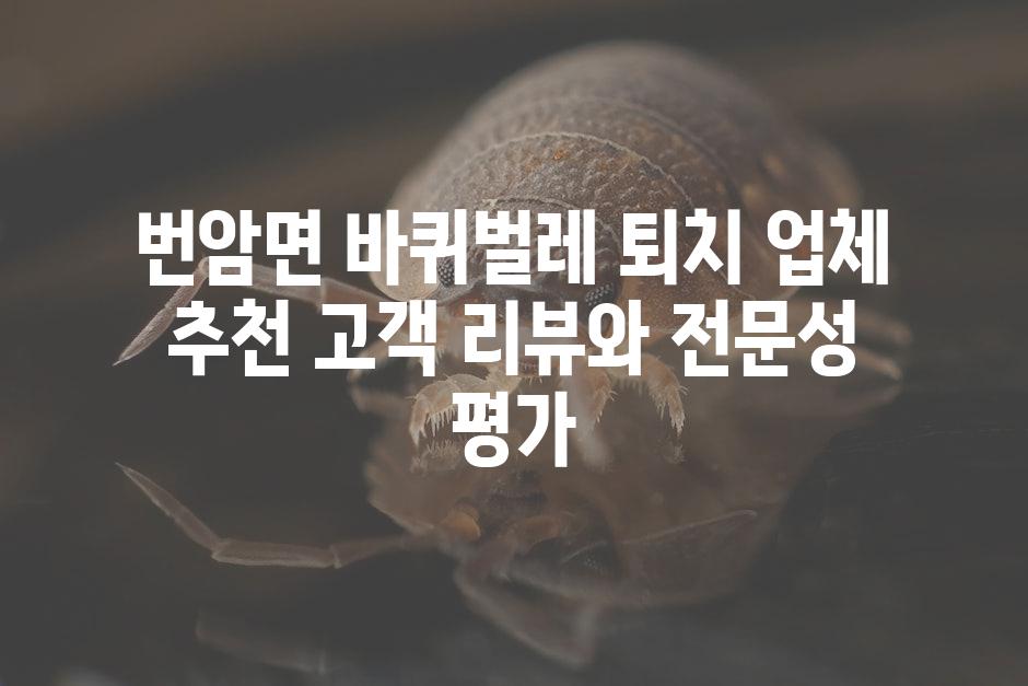 번암면 바퀴벌레 퇴치 업체 추천 고객 리뷰와 전문성 평가
