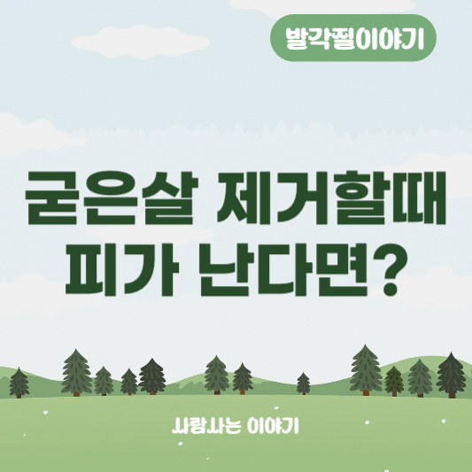 굳은살 제거 중 피가 난다면, 어떻게 해야 할가요?