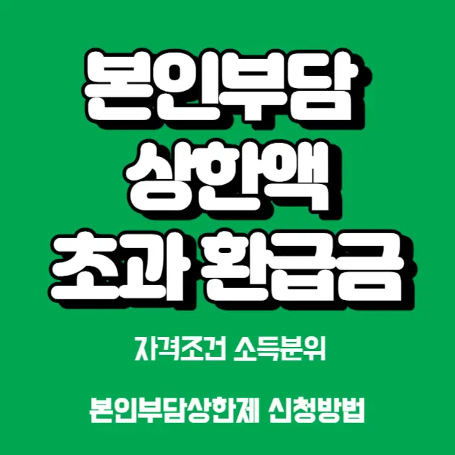 본인부담상한액-초과의료비-환급