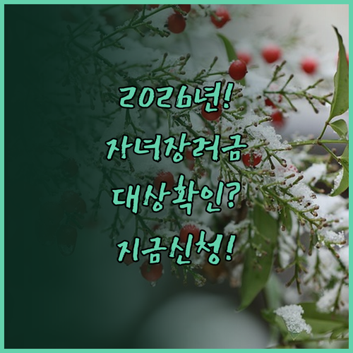 2026년 자녀장려금 정기 신청 기간..
