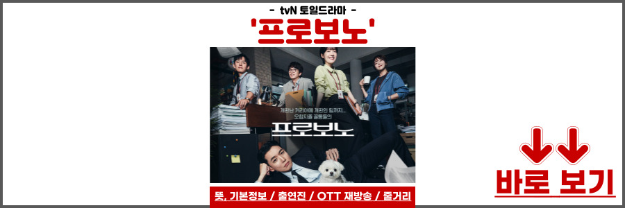 프로보노