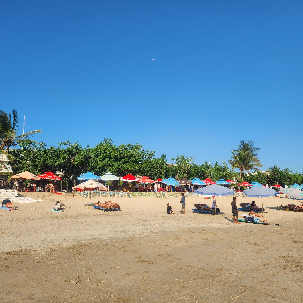 해변의 파라솔들 그리고 태닝을 하는 사람들