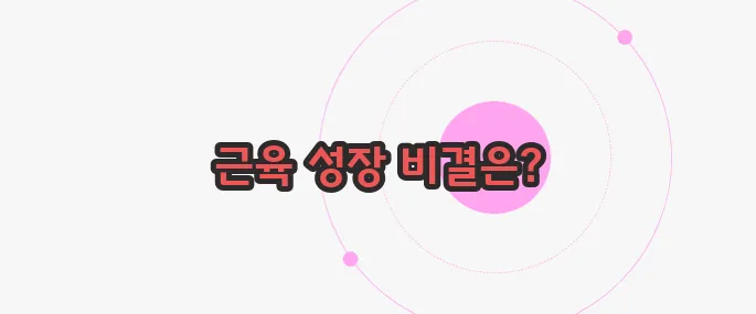 근육량 늘리는 방법 궁금한 점, 풀어보죠