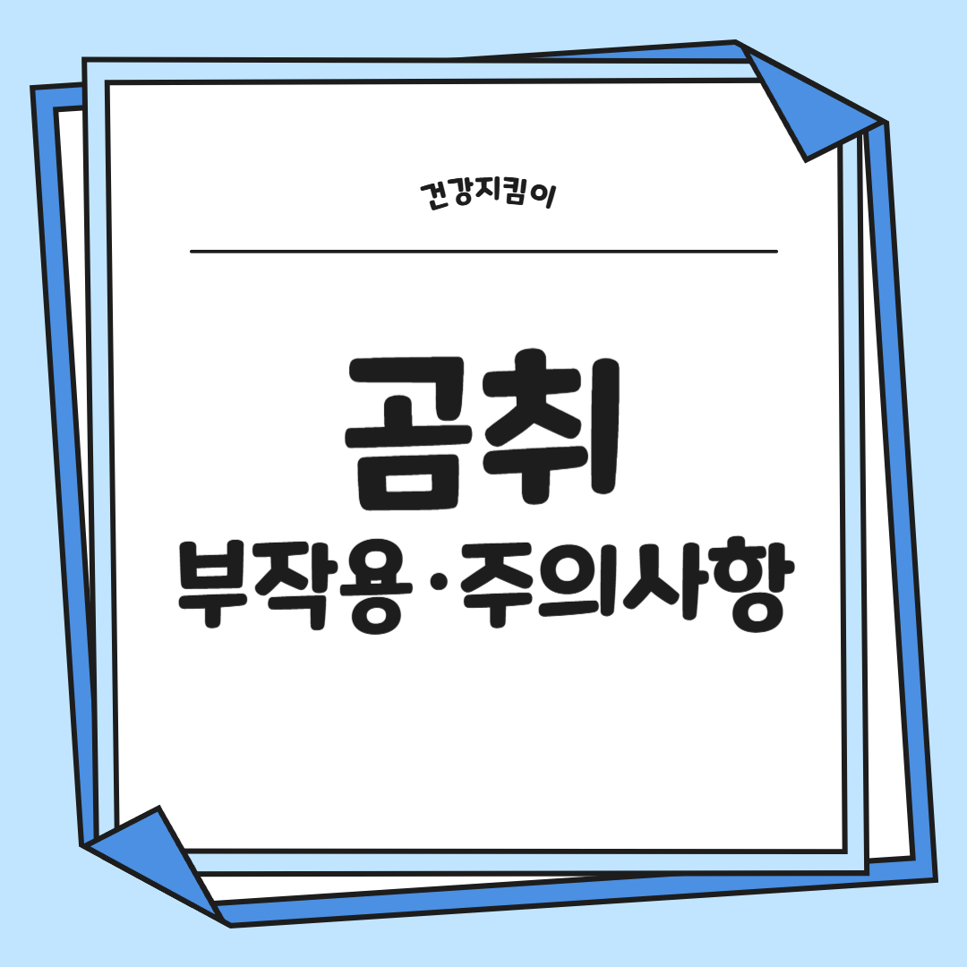 곰취나물 효능 부작용 고르는법 먹는법 칼로리