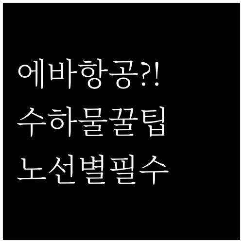 에바항공 기내 반입 및 위탁 수하물 ..