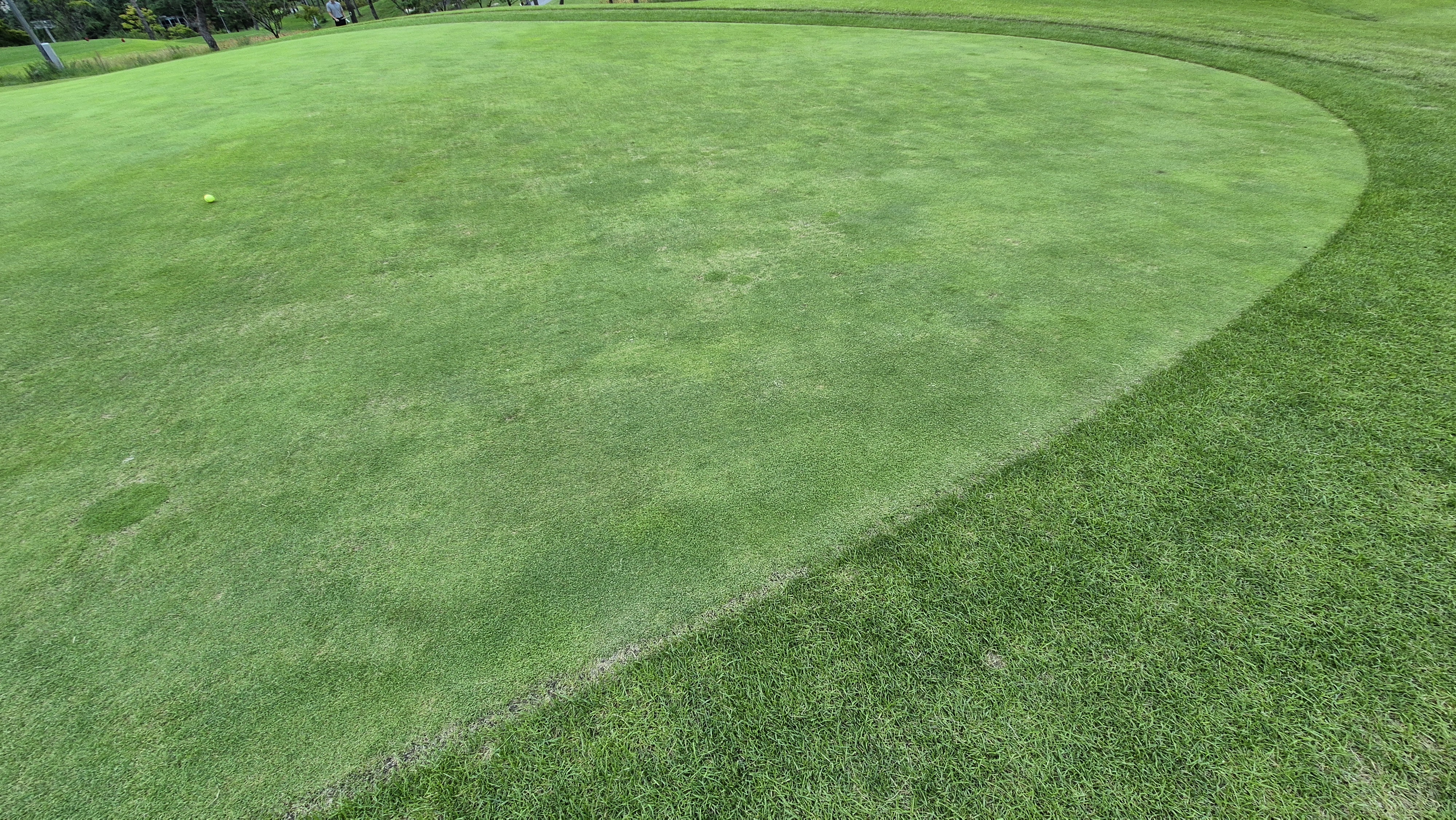 오크힐스cc 그린 관리 상태