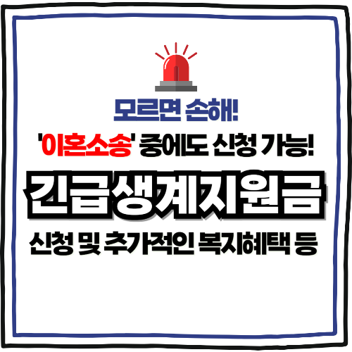 이혼소송 생계지원금