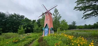 평창 가볼만한곳 베스트10 현지인 추천 필수코스_22