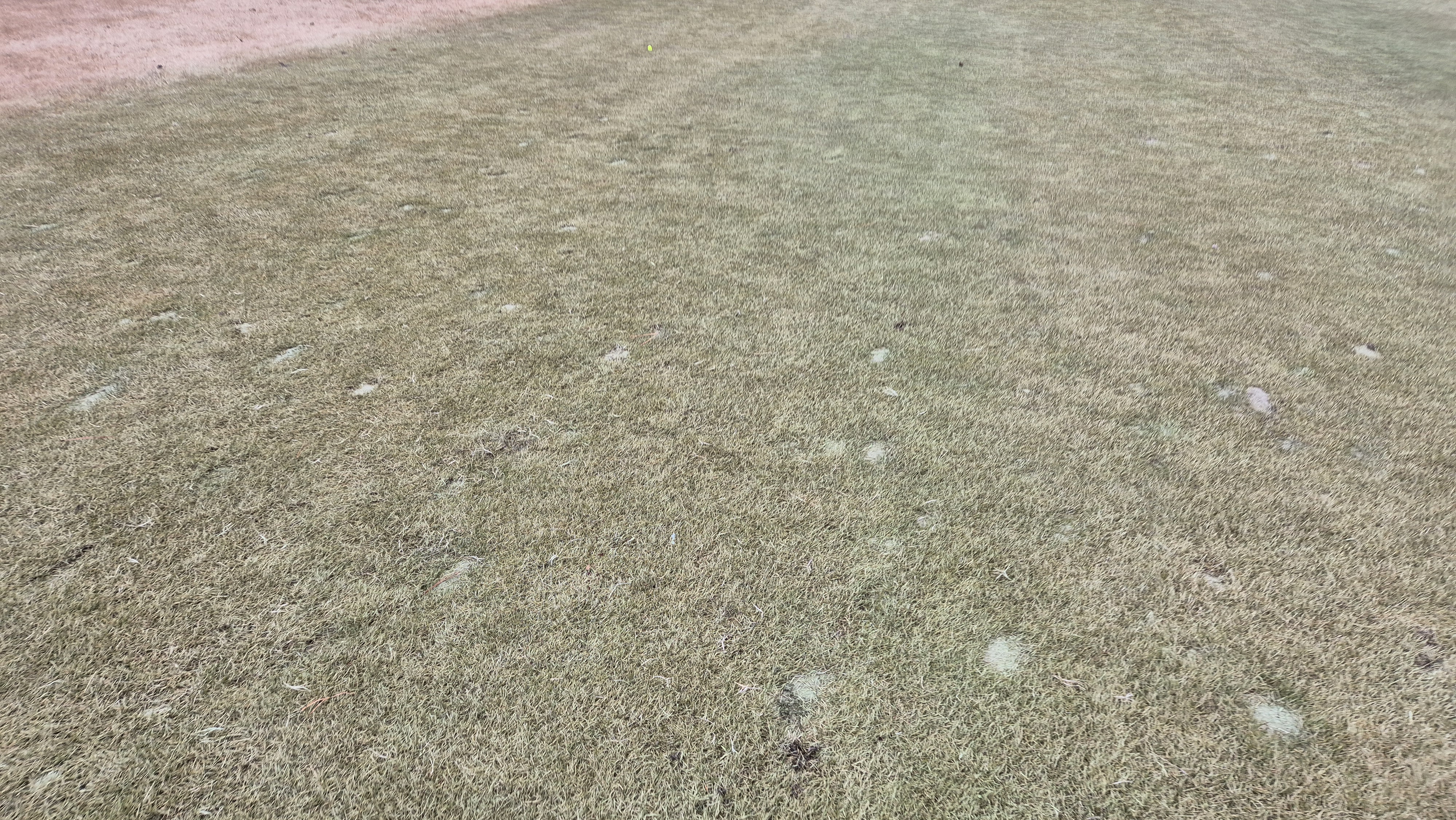 더헤븐cc 사우스-웨스트 코스 관리 상태