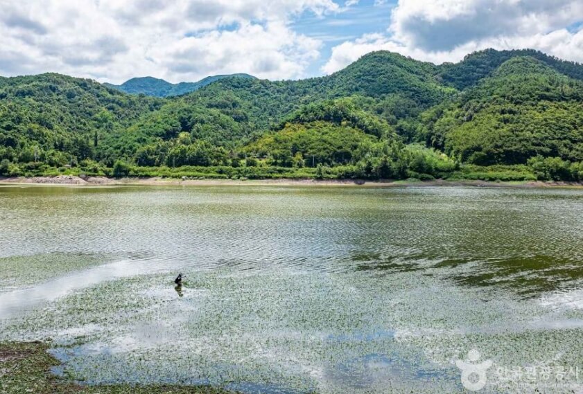 의성 가볼만한곳 베스트 10