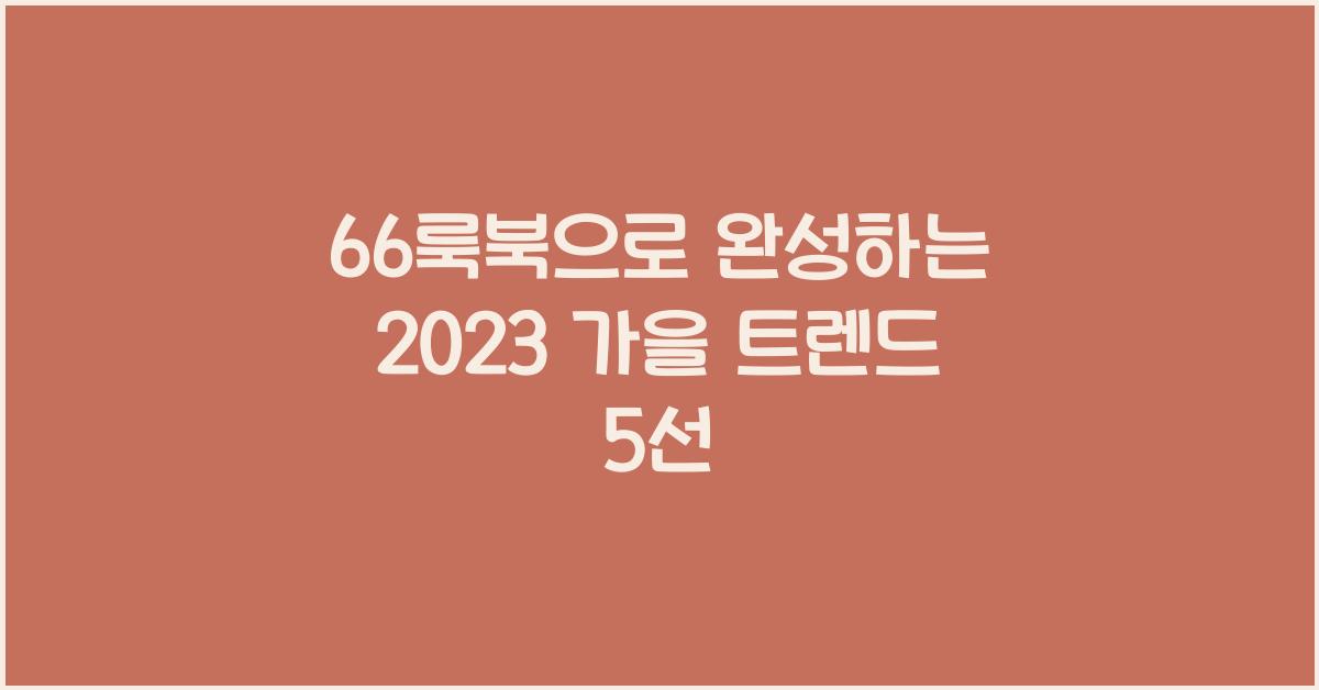 66룩북