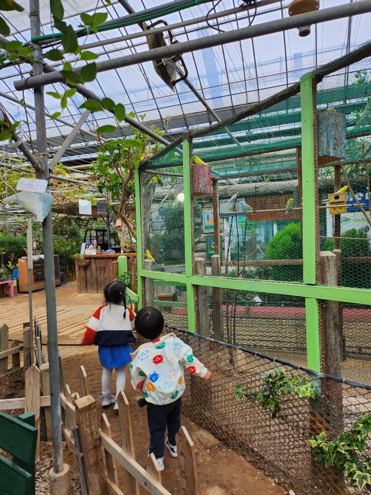 새를 구경하는 아이들