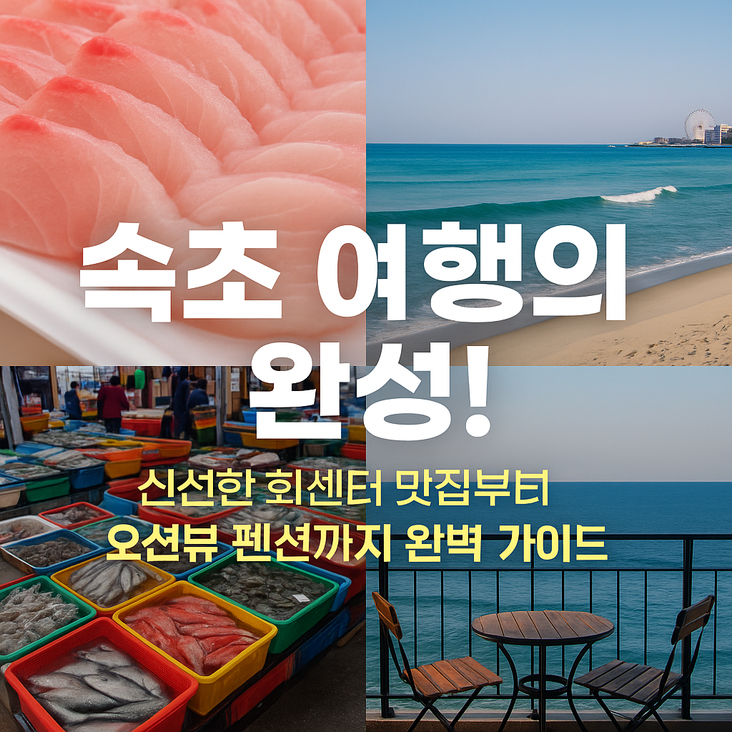 속초 여행의 완성! 신선한 회센터 맛집부터 오션뷰 펜션까지 완벽 가이드