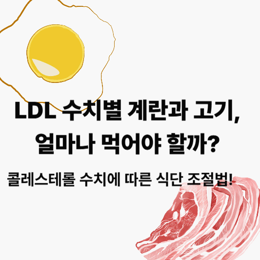 더보기
LDL 수치별 계란과 고기, 얼마나 먹어야 할까? 콜레스테롤 수치 따라 식단 조절법!