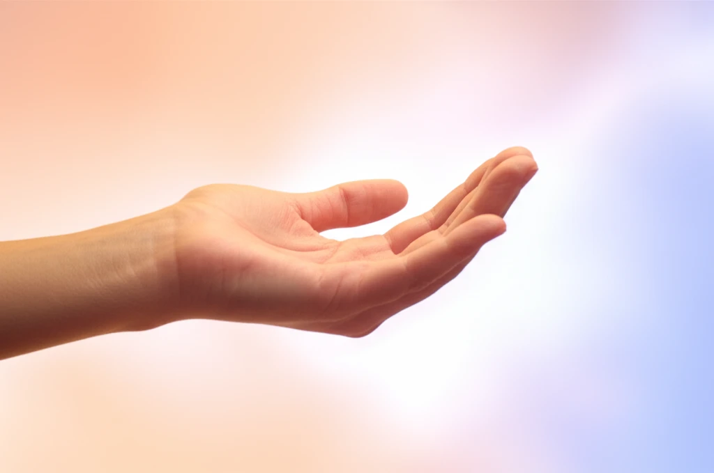 폭력 피해자를 위한 2025년 해바라..